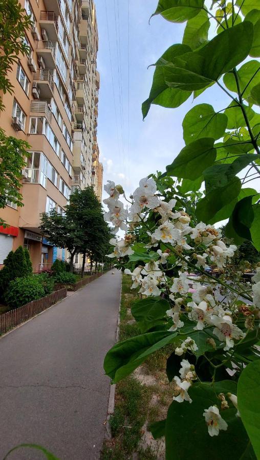Просторі Апартаменти Kiev Eksteriør bilde